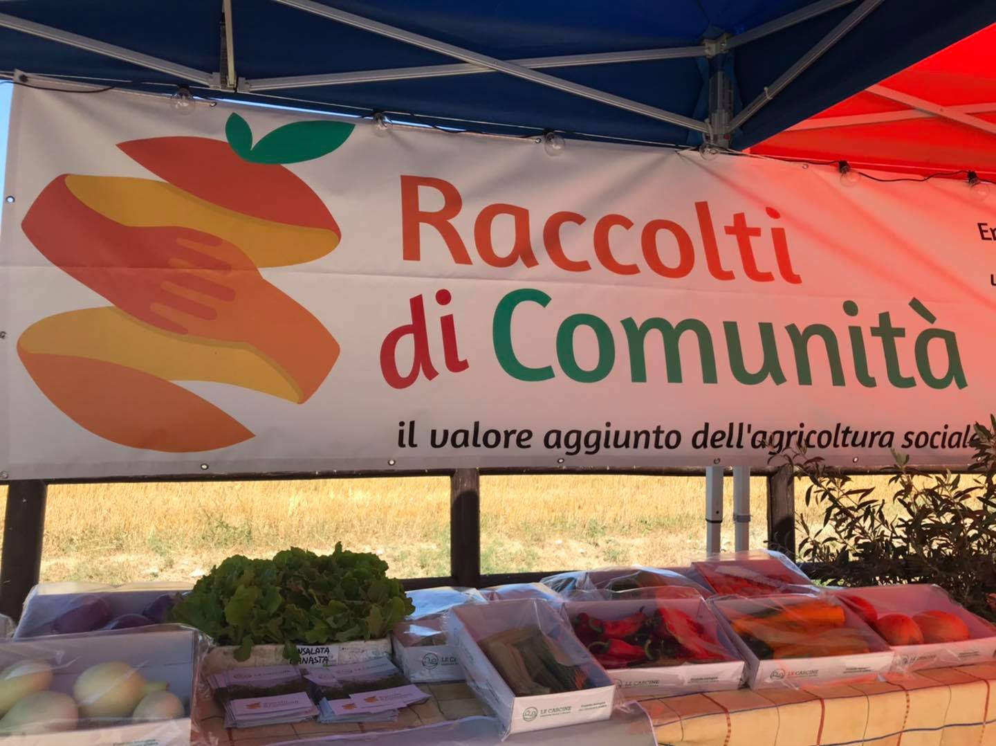 Presentazione raccolti comunità