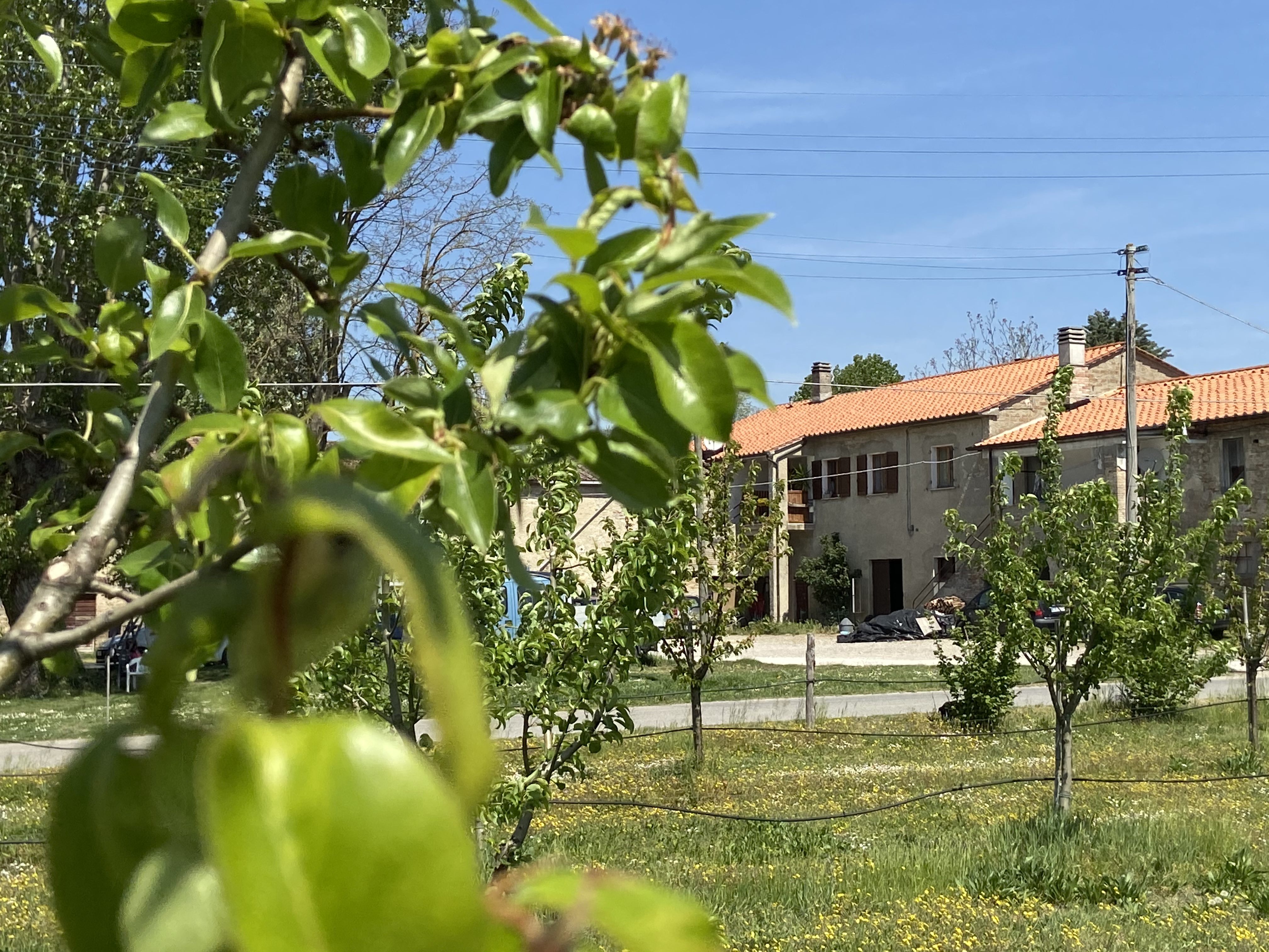 Azienda