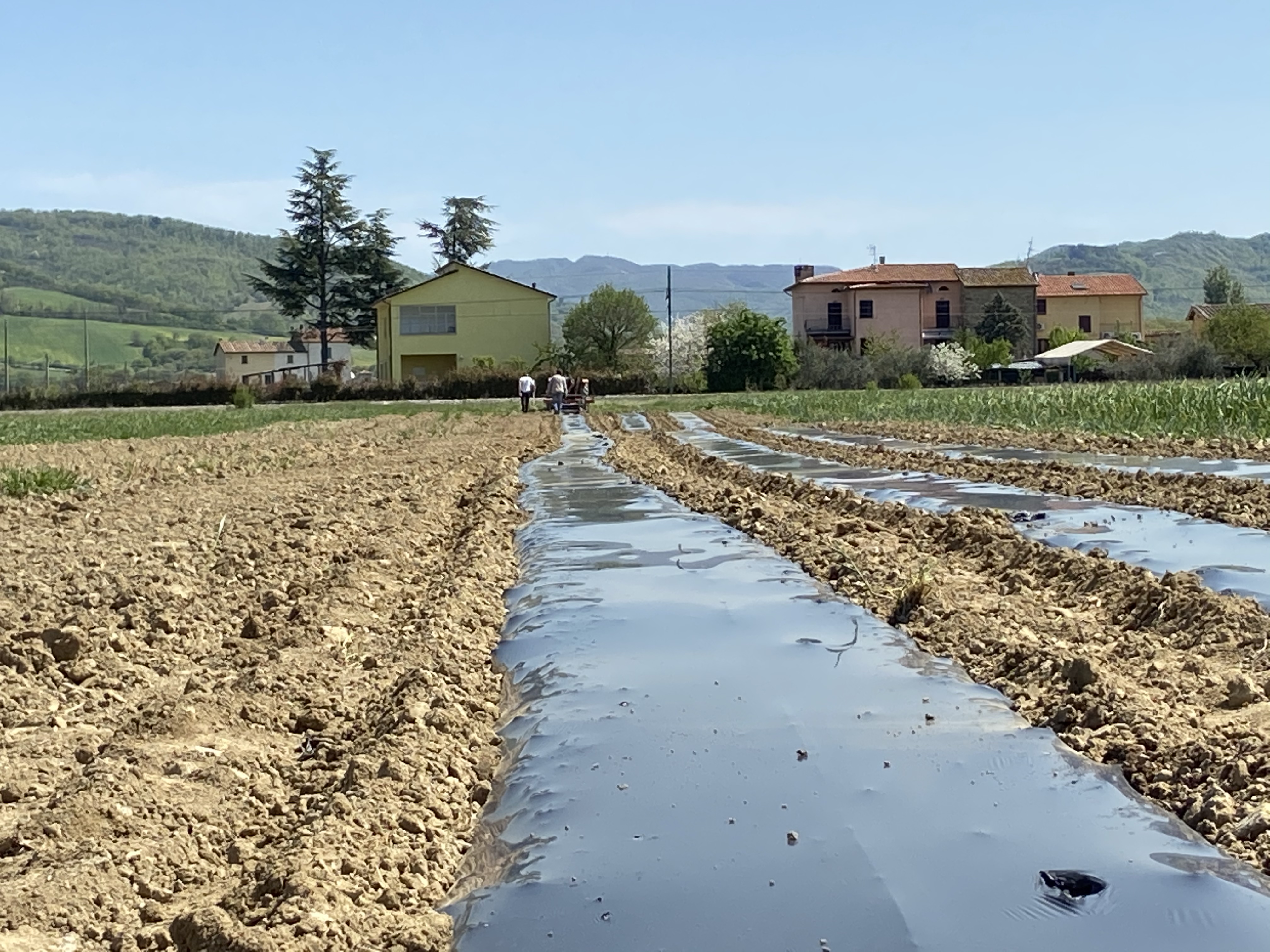 I due ragazzi e il campo