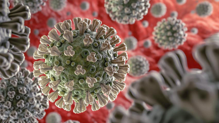 La forma a Corona del Virus