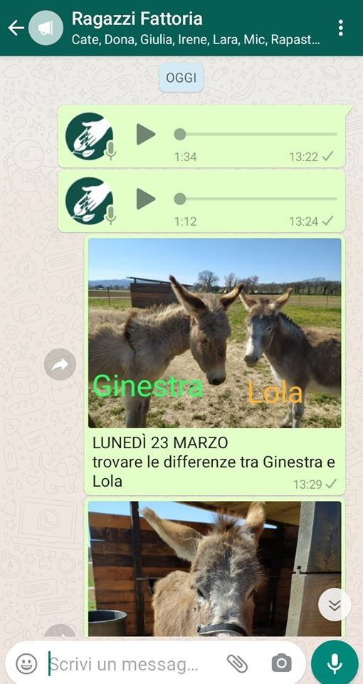 Screen Gruppo Whatsaap