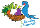 La rondine a Maccarello